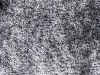 Campeone Collection Singapore Silver carpet by ITC