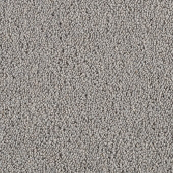 Pentwist Silver Birch carpet by Penthouse Carpets