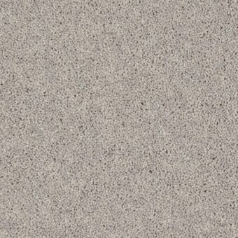 Woodland Heather Twist Silver Fox carpet by Cormar Carpets