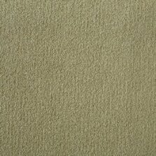 Silken Velvet Collection Simplicity carpet by Westex