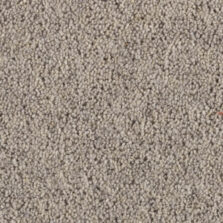 Super Maxim Slate carpet by Penthouse Carpets