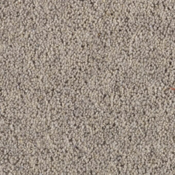 Super Maxim Slate carpet by Penthouse Carpets