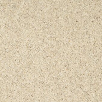 Dimensions Heathers Soft Feather carpet by Brockway Carpets