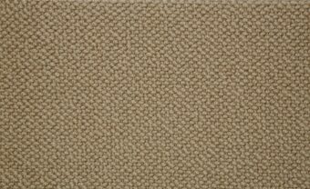 Wool Pearl Soft Olive WP103 carpet by Crucial Trading