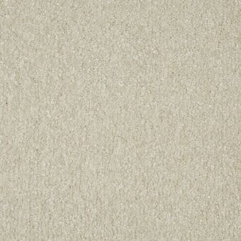 Sensation Original Soft Orchid carpet by Cormar Carpets