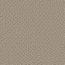 Wool Snug Soft Sands SN501 carpet by Crucial Trading