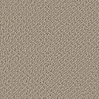 Wool Snug Soft Sands SN501 carpet by Crucial Trading