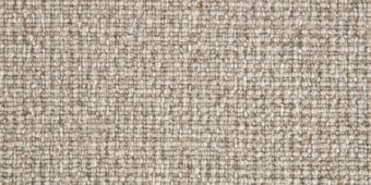 Wool Treasure Soft Shell WT501 carpet by Crucial Trading