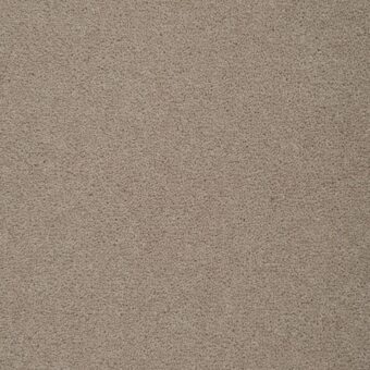Colorado Springfield carpet by Penthouse Carpets