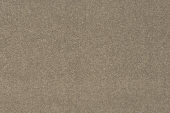 York Wilton Squirrel carpet by Ulster Carpets