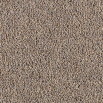 Carlton Squirrel carpet by Penthouse Carpets