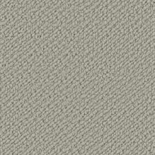 Wool Snug Starlight Grey SN503 carpet by Crucial Trading