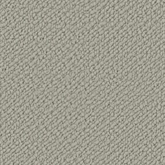 Wool Snug Starlight Grey SN503 carpet by Crucial Trading