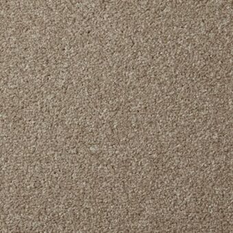 Apollo Plus Stepping Stone carpet by Cormar Carpets