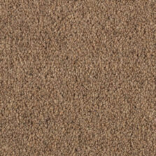 Shoreline Strand carpet by Penthouse Carpets