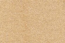 Ulster Velvet Straw carpet by Ulster Carpets