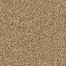Linwood Summer Meadow carpet by Cormar Carpets