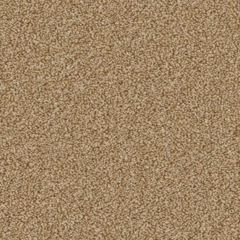 Linwood Summer Meadow carpet by Cormar Carpets