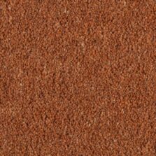 Shoreline Sunset carpet by Penthouse Carpets