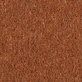 Shoreline Sunset carpet by Penthouse Carpets