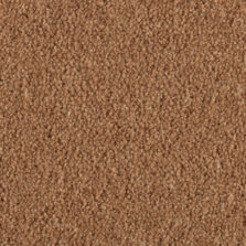 Prism Sunstone carpet by Penthouse Carpets