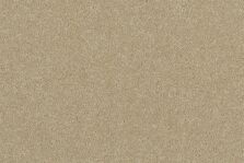Grange Wilton Tallow carpet by Ulster Carpets