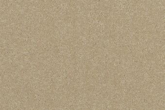 Grange Wilton Tallow carpet by Ulster Carpets