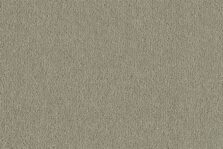 Ulster Velvet Tankard carpet by Ulster Carpets