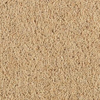 Super Maxim Thatch carpet by Penthouse Carpets