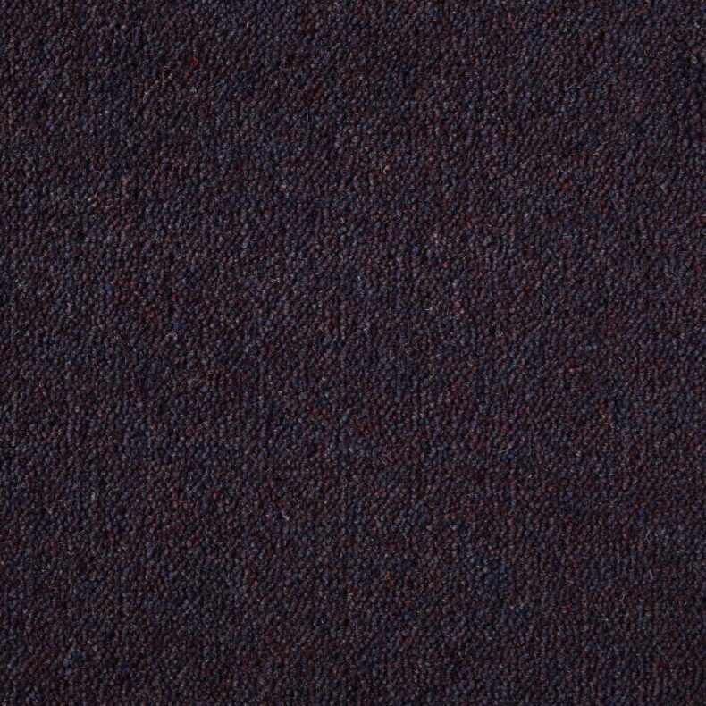 Ultima Twist Collection Thistle carpet by Westex