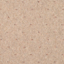 Inspirations Toasted Almond Dot carpet by Adam Carpets