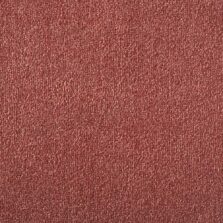 Silken Velvet Collection Toffee carpet by Westex
