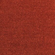 Dimensions Plain Tomato carpet by Brockway Carpets