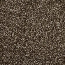 Primo Choice Truffle carpet by Cormar Carpets