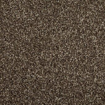 Primo Choice Truffle carpet by Cormar Carpets