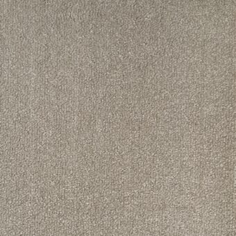 Scenario Turtle Dove carpet by Elements London