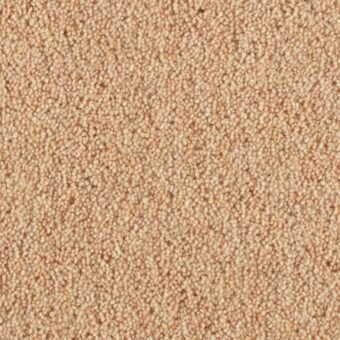 Pentwist Vanilla carpet by Penthouse Carpets