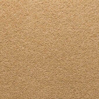 Stateside Vegas carpet by Penthouse Carpets
