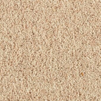 Carlton Vellum carpet by Penthouse Carpets