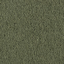 Super Maxim Verdant carpet by Penthouse Carpets