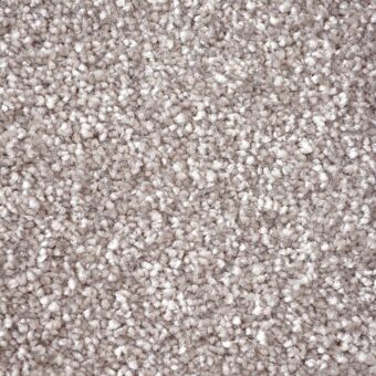 First Impressions Vision carpet by Victoria Carpets