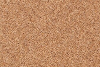 York Wilton Walnut carpet by Ulster Carpets