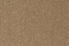 Grange Wilton Wattle carpet by Ulster Carpets