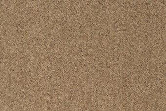 Grange Wilton Wattle carpet by Ulster Carpets