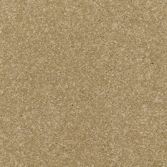 Riva Wattle carpet by Cormar Carpets