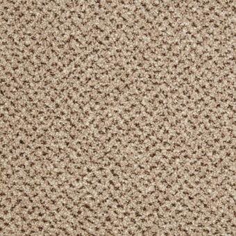 Primo Tweeds Westwood Beige carpet by Cormar Carpets