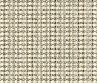 Woosie Panama Whimsical carpet by Alternative Flooring