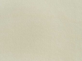 Campeone Collection Cabernet White Ash carpet by ITC