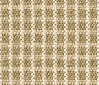Woosie Check Wild carpet by Alternative Flooring