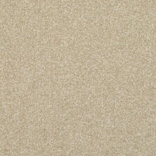 Fine Worcester Twist Wilden Wicker carpet by Adam Carpets